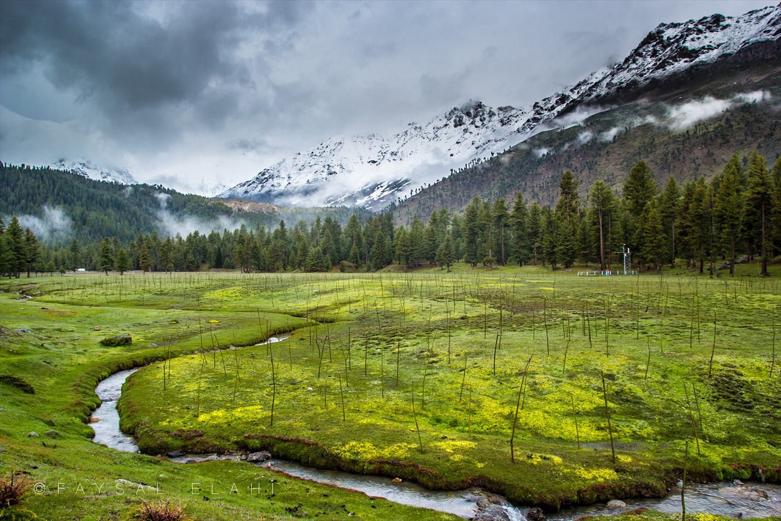 A stream winding through green Rama Meadows toward pine forest and snow-covered mountains
