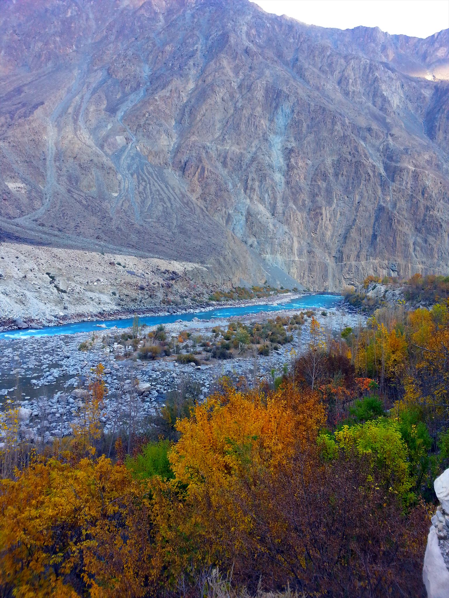 Turquoise river below steep rocky mountains and autumn trees in Hunza Valley